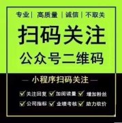 拉投票微信号-微信投票vip账户