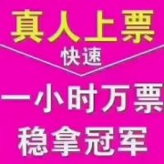 机器投票如何模仿人工投票的方法