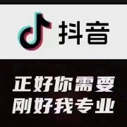 电脑上的投票软件可以用吗？怎么用？