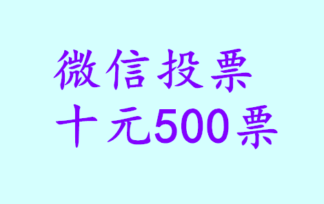 微信投票十元500票